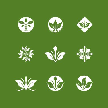 Yeşil Yaprak simgesi ve Sembol Vektör Şablonu İllüstrasyonu