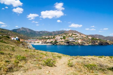 Yazın Fransa 'da meslektaşız.