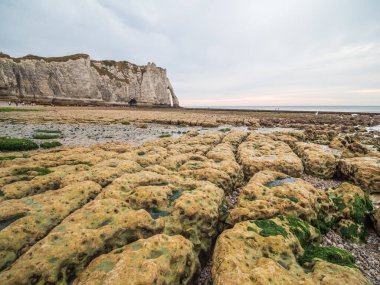 Fransa 'nın Etretat Köyü, Normandiya Kıyısı