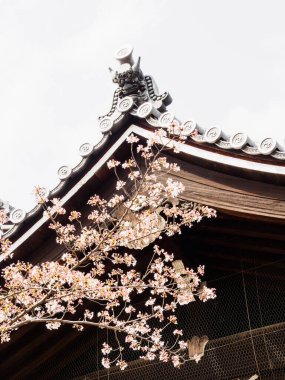 Japonya, Kyoto 'da eski bir bölge