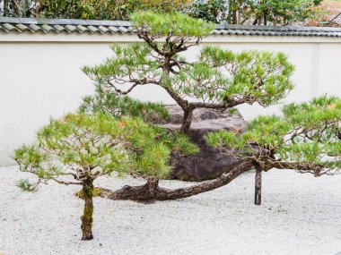 Japonya, Arashiyama 'daki tapınak.