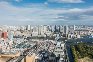 Tokyo, Japonya 'daki Tsukiji pazarı