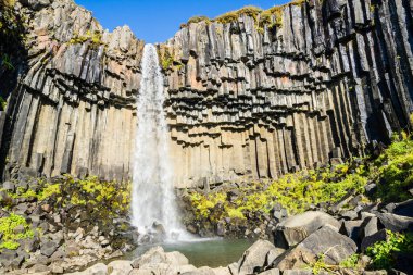 İzlanda'da bazalt sütunlu Svartifosşelalesi