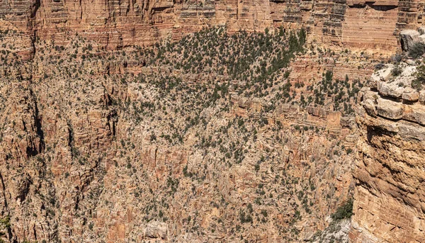 Grand Canyon South Rim Arizona Stati Uniti — Foto Stock