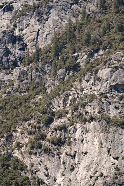 Granite Rocks Yosemite California Usa Detailed Close Shot — Zdjęcie stockowe
