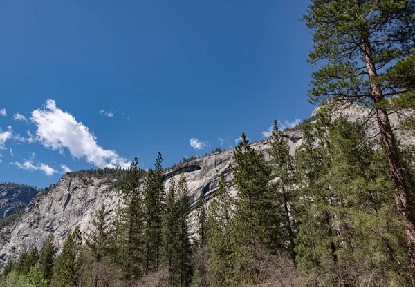 Yosemite National Park California Usa Beatuiful Day — Zdjęcie stockowe