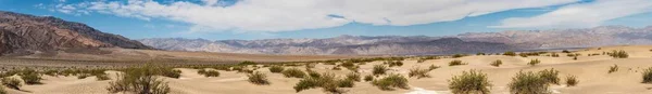 Mesquite Sand Dunes Death Valley National Park California Usa — Stockfoto