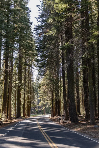 Street Yosemite National Park California Usa — Zdjęcie stockowe