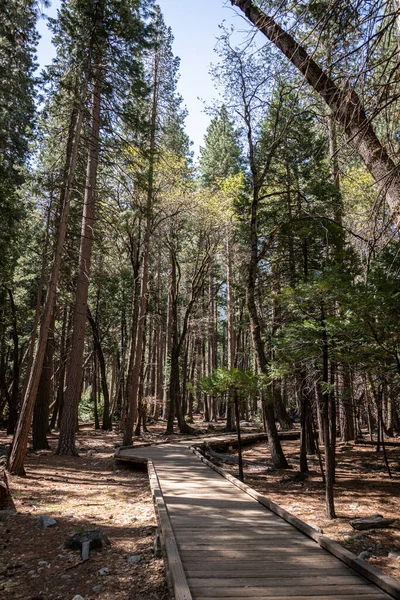 Hiking Trail Yosemite Valley California Usa — Zdjęcie stockowe