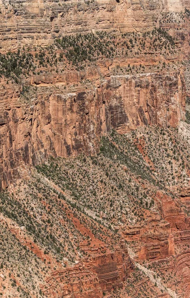 Grand Canyon National Park Arizona Stati Uniti — Foto Stock
