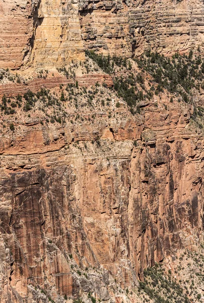 Famous Grand Canyon Sout Rim Arizona Usa — Foto Stock