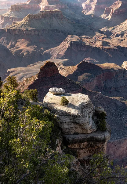 Grand Canyon Arizona Stati Uniti — Foto Stock