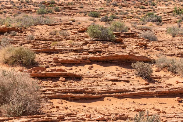 Desert Next Grand Canyon Arizona Usa Close Shot — Foto Stock