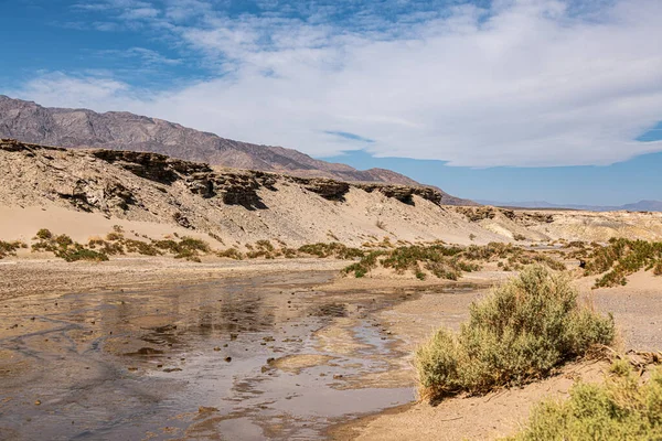 Salt Creek Death Valley National Park California Usa Стокова Картинка