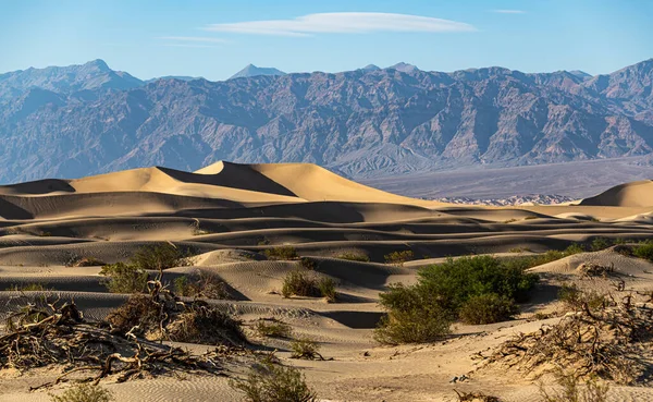 Mesquite Sand Dunes Death Valley National Park Imagen de archivo
