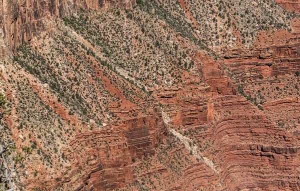 Grand Canyon National Park Arizona Usa Royaltyfria Stockbilder