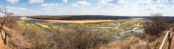 Olifants River Limpopo Kruger National Park South Africa Royaltyfria Stockfoton