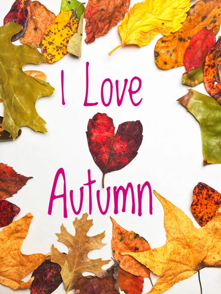 Welcome autumn frame natural colorful leaves love heart shape text image picture backgroun