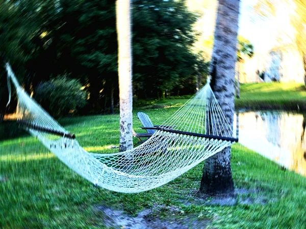 Hammock Garden Pond Water Lake Picture Image Background — стокове фото