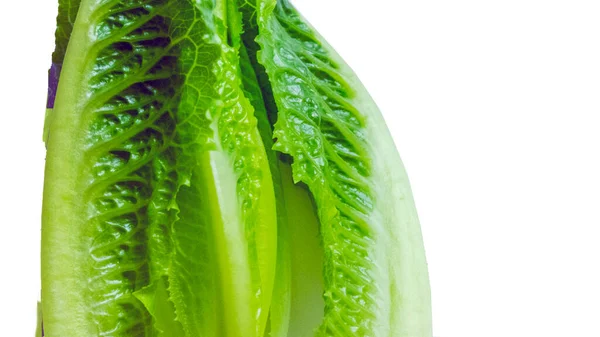Lettuce Grön Romaine Isolerad Vit Bakgrund Bild Mall — Stockfoto
