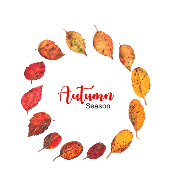 Herfst Herfst Bladeren Een Cirkel Het Maken Van Een Kleurrijke — Stockfoto