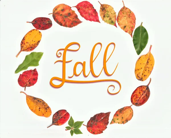 秋天的叶子围成一个圆圈 用真正的叶子做一个五彩缤纷的花环 秋天的文字 为一个新的项目季节 用生动的树叶颜色 图片设计 拼出一个文字 — 图库照片