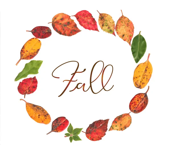 Podzim Podzimní Listy Kruhu Pestrobarevnou Věnec Květinový Reálnými Listy Podzimní — Stock fotografie