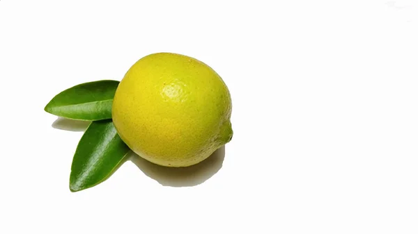 Limette Zitrusfrüchte Mit Blättern Isoliert Mit Weißen Leeren Hintergrund Foto — Stockfoto