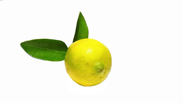 Lime Citrico Con Foglie Isolate Con Bianco Disegno Foto Sfondo — Foto Stock