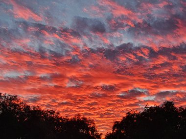 Florida 'da fırtınalı bulutlarla dolu güzel kırmızı gökyüzü günbatımı. 