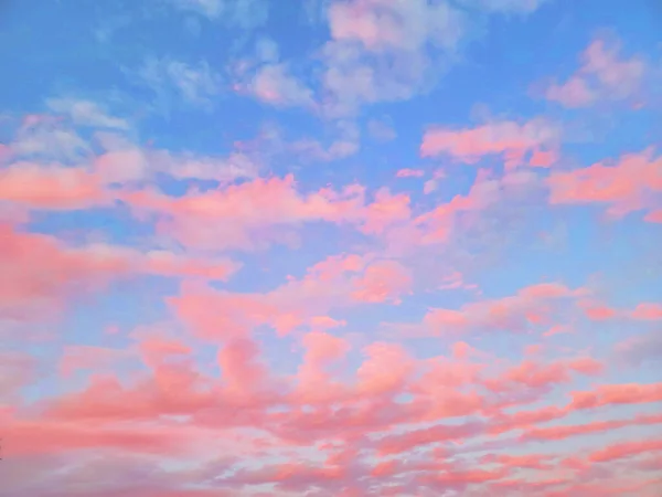 Puesta Sol Hermoso Dramático Rosa Azul Cielo Nubes Florida Stock —  Fotos de Stock