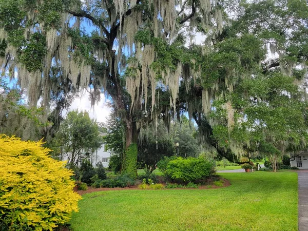 Oak tree garden. a Serene Oak Tree Garden in Orlando\'s Winter Park, Tranquil Oasis, Nature\'s Beauty, Scenic Landscape, Relaxing Retreat, Outdoor Escape, Peaceful Sanctuary, Natural Wonder
