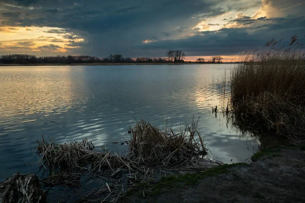 Vista Noturna Lago Leste Polônia Lubelskie Stankow — Fotografia de Stock