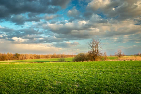 Spring clouds over meadows in eastern Poland, sunny say