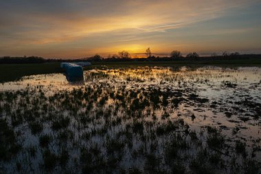 Akşam gökyüzü ıslak bir çayırın üzerinde, Nowiny, Lubelskie, Polonya