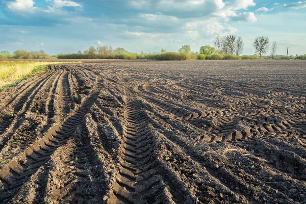 耕作地 春の日 ノヴィニー ポーランドのホイールマーク — ストック写真