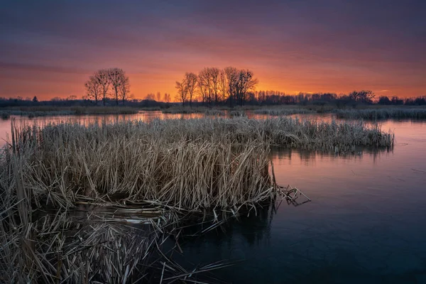 Céu Colorido Bonito Sobre Lago Após Pôr Sol Stankow Polônia — Fotografia de Stock