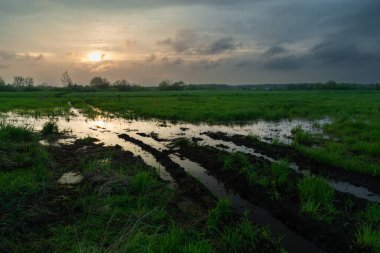 Çayırdaki yağmur fırtınasından sonra su ve akşam bulutlu gökyüzü, ilkbahar manzarası
