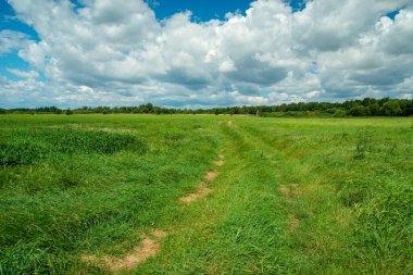 Dirt road through a green meadow and clouds in the sky, Czulczyce, Poland