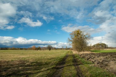 Dirt road through the meadow and clouds in the sky, Nowiny, Poland