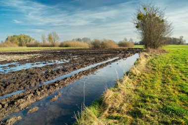 Water after melting snow on a plowed field, sunny day, Nowiny, Poland