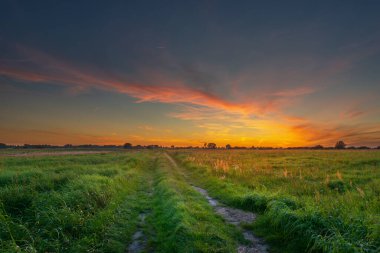 Yeşil çayırlar ve güzel günbatımı boyunca toprak yol, Czulczyce, Polonya