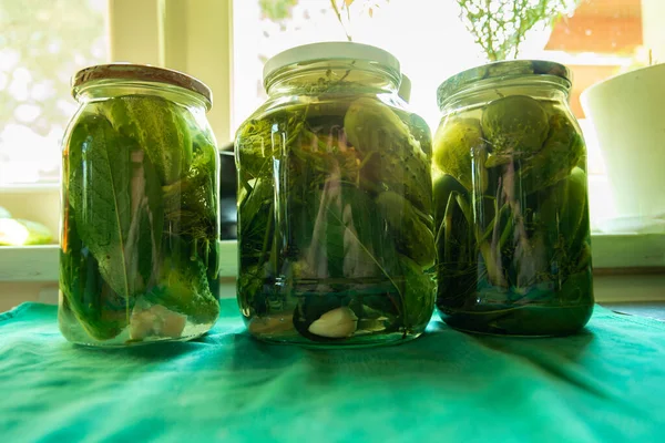 Close Canned Fresh Homemade Green Cucumbers Glass Jar — Stok Foto