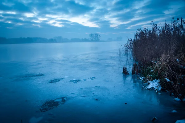 Vista Lago Congelado Com Juncos Uma Noite Nebulosa Stankow Lubelskie — Fotografia de Stock
