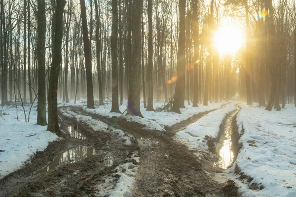 Lueur Soleil Avec Forêt Hiver Fourche Route Boueuse Pologne Orientale — Photo