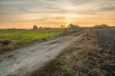 Tarlalarda toprak yol ve akşam gün batımı, yaz manzarası, doğu Polonya