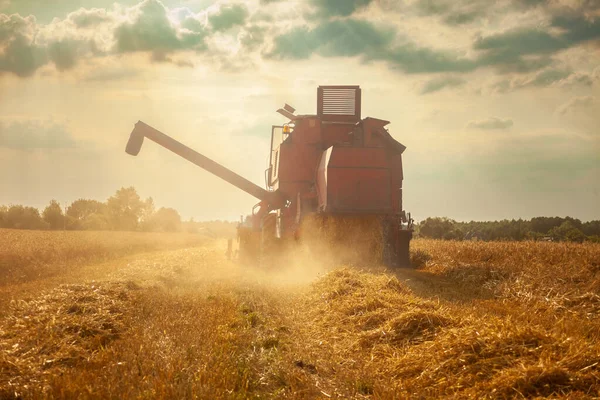 Büyük Bir Tarla Biçicisi Buğday Tarlasında Biçiyor Yaz Günü — Stok fotoğraf