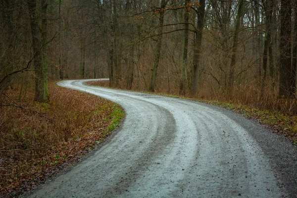 stock image Double bend on the gravel road in the dark forest