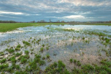 Sel basmış bir çayırın üzerinde kara yağmur bulutları, bahar akşamı manzarası.