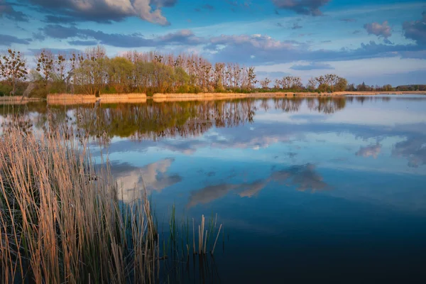 水平線上の穏やかな湖と木々の水の雲の反射 スタンコウ ルベルスキー ポーランド — ストック写真